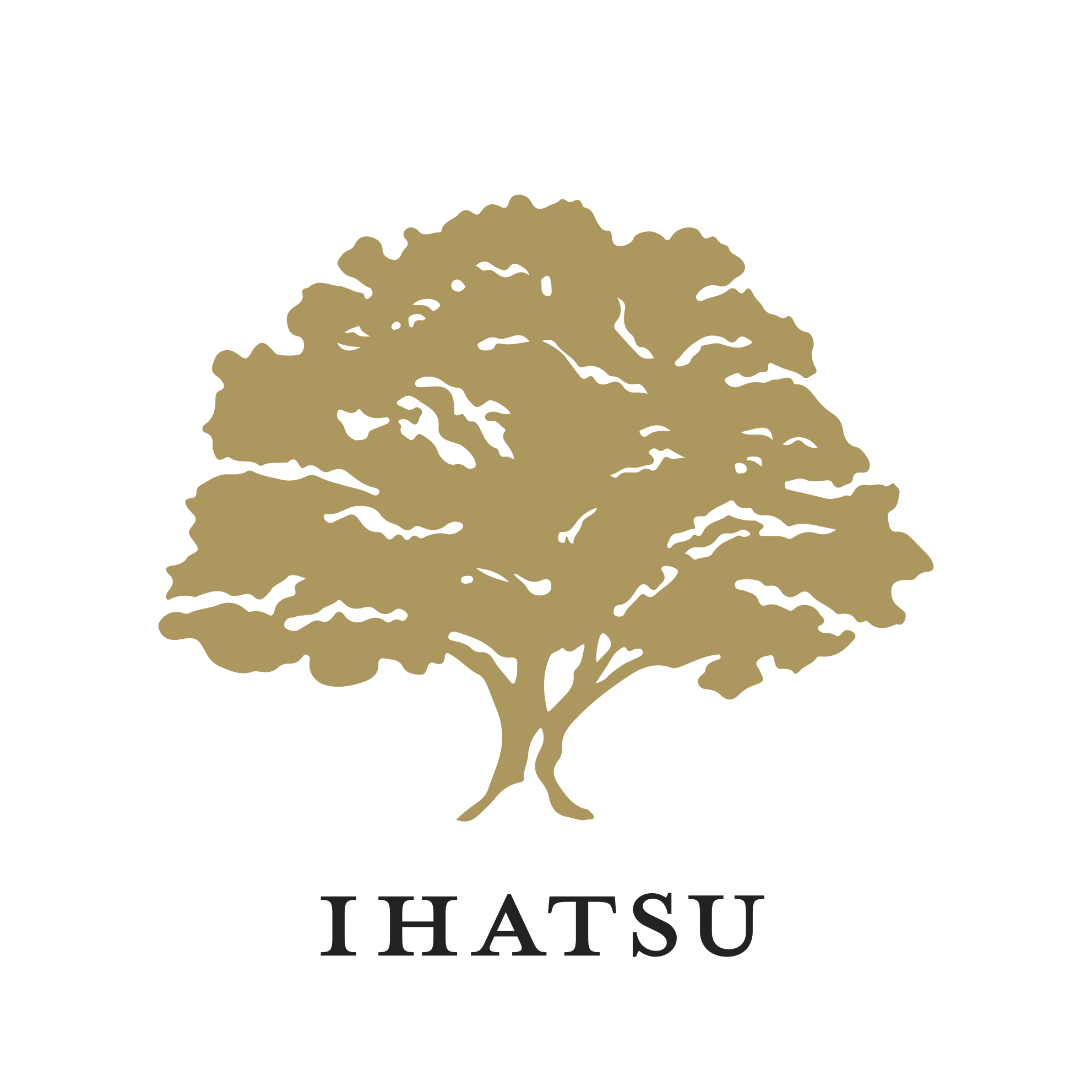 Ihatsu logo